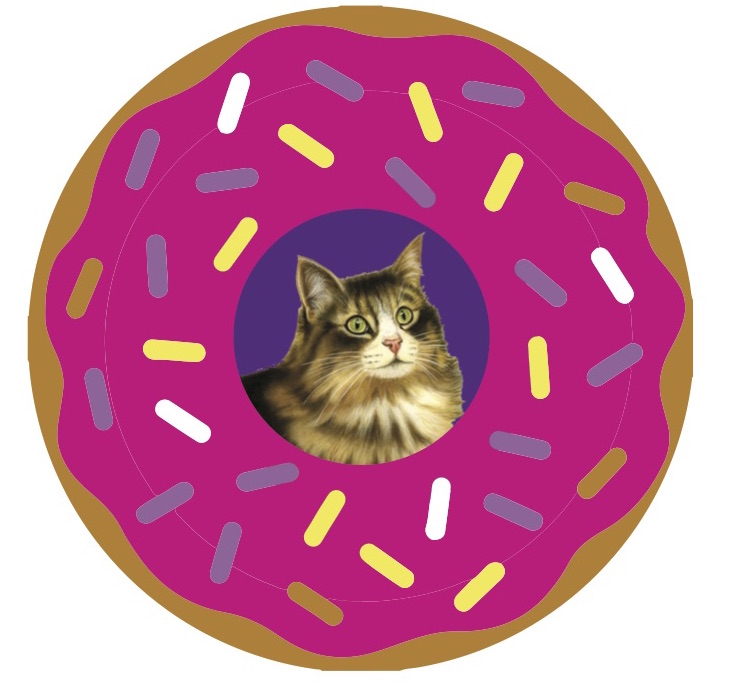 donut cat