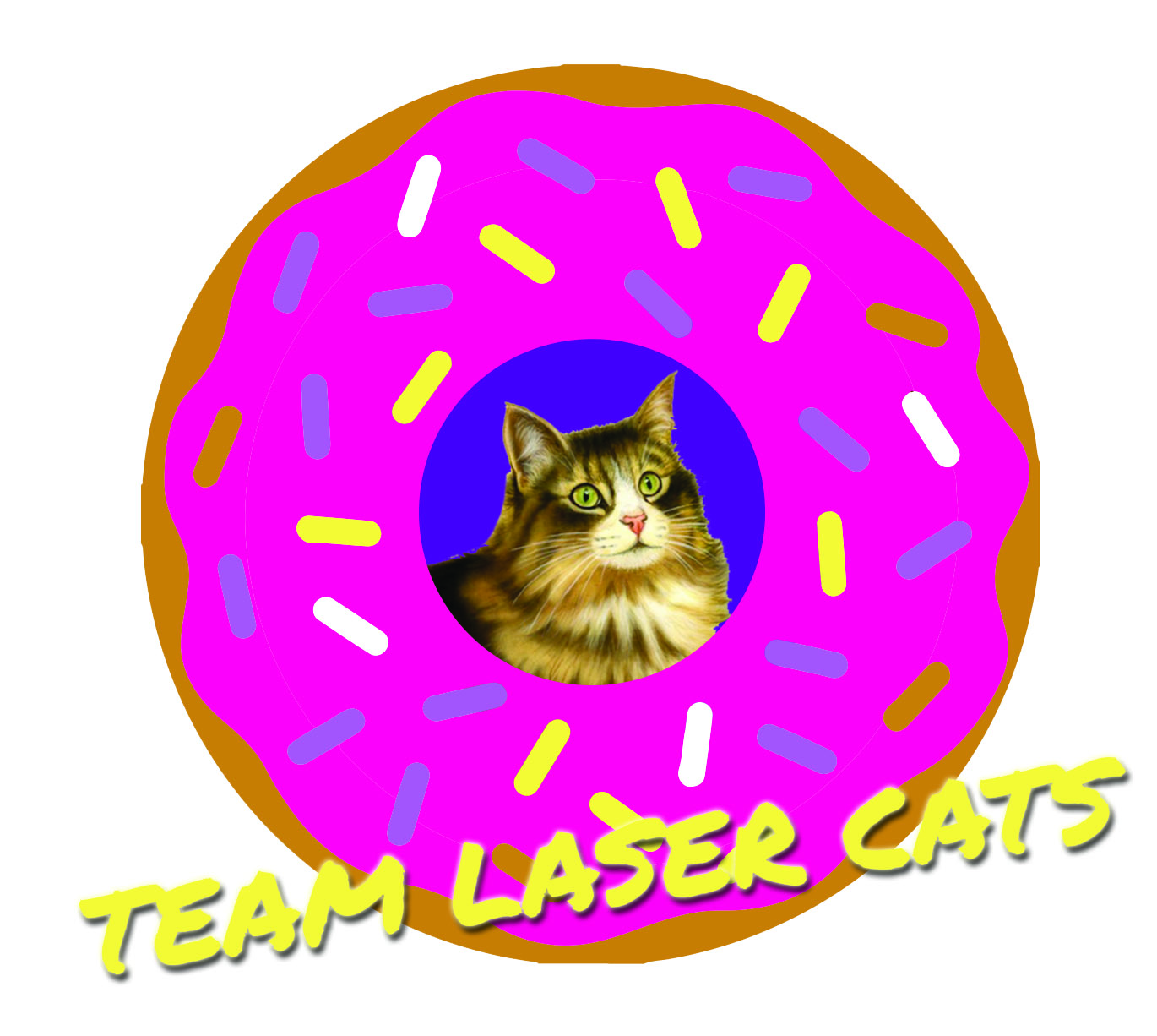 Team Laser Cats | Folks in Philadelphia who love bikes, cats, and snacks.